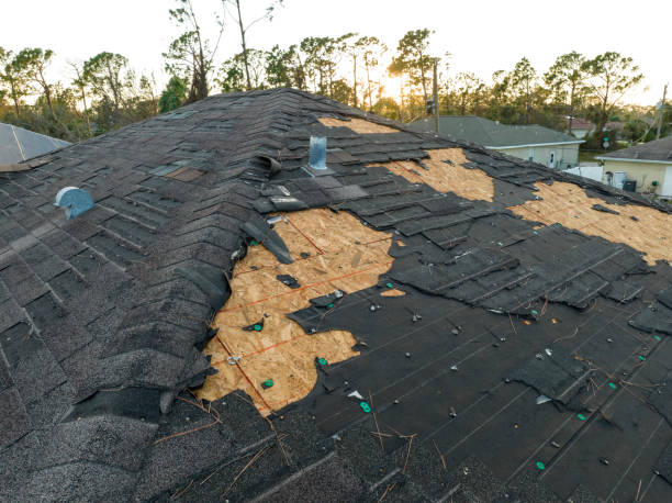 Best Asphalt Shingle Roofing  in Durham, OR